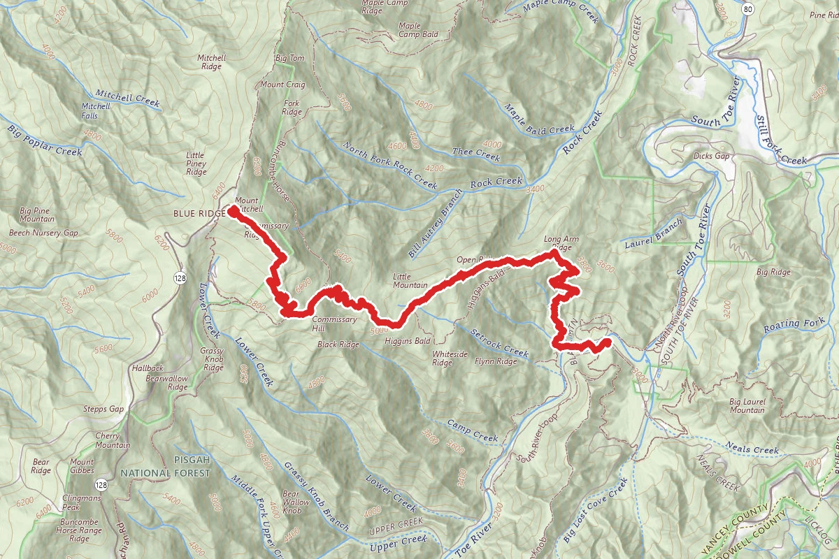 Mount Mitchell Trail