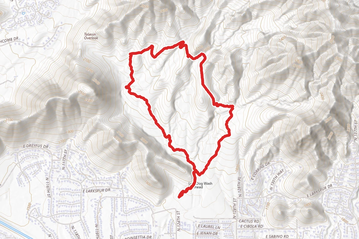 Lost Dog Wash Trail to Ringtail Trail Loop