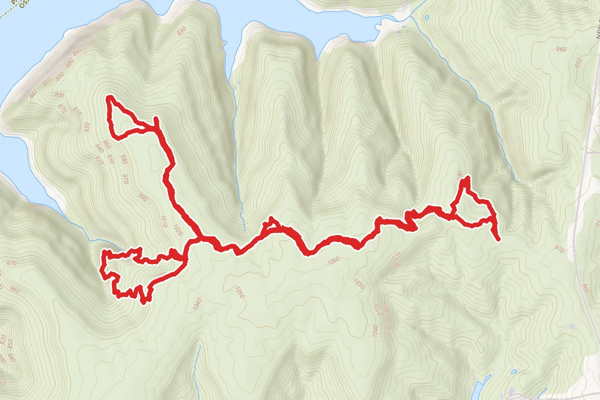 Keystone Ancient Forest Trail
