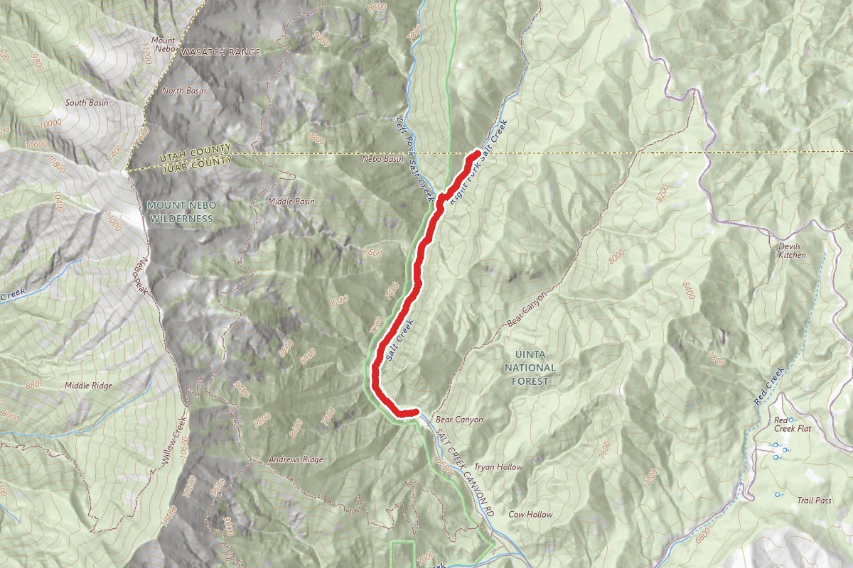 Right Fork Salt Creek
