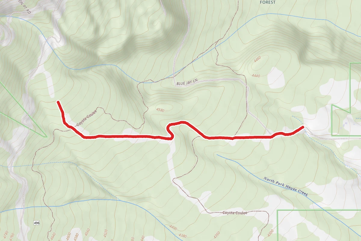 North Fork Hayes Creek