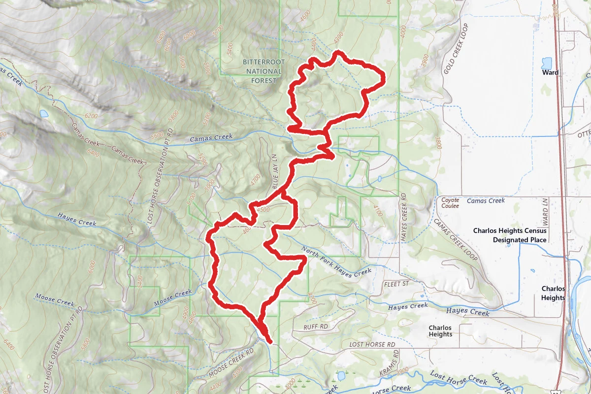 Coyote Coulee