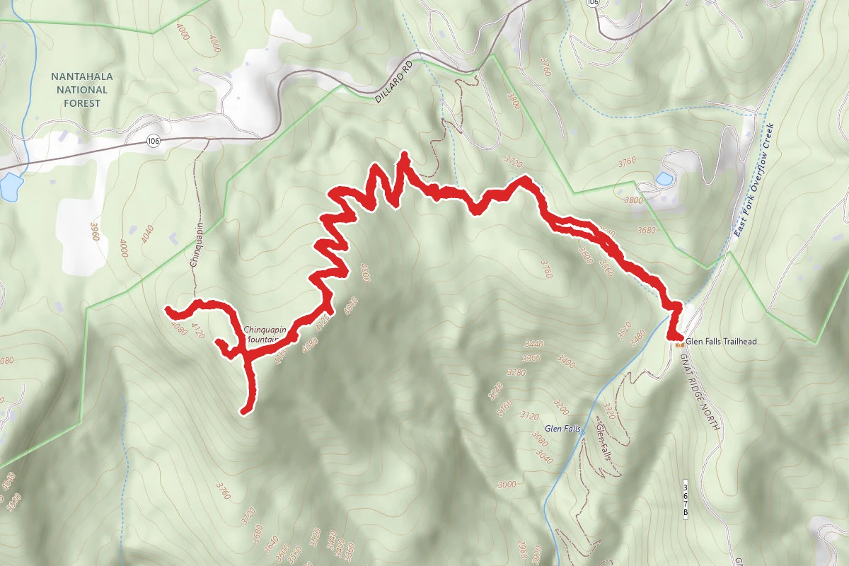Chinquapin Mountain Trail