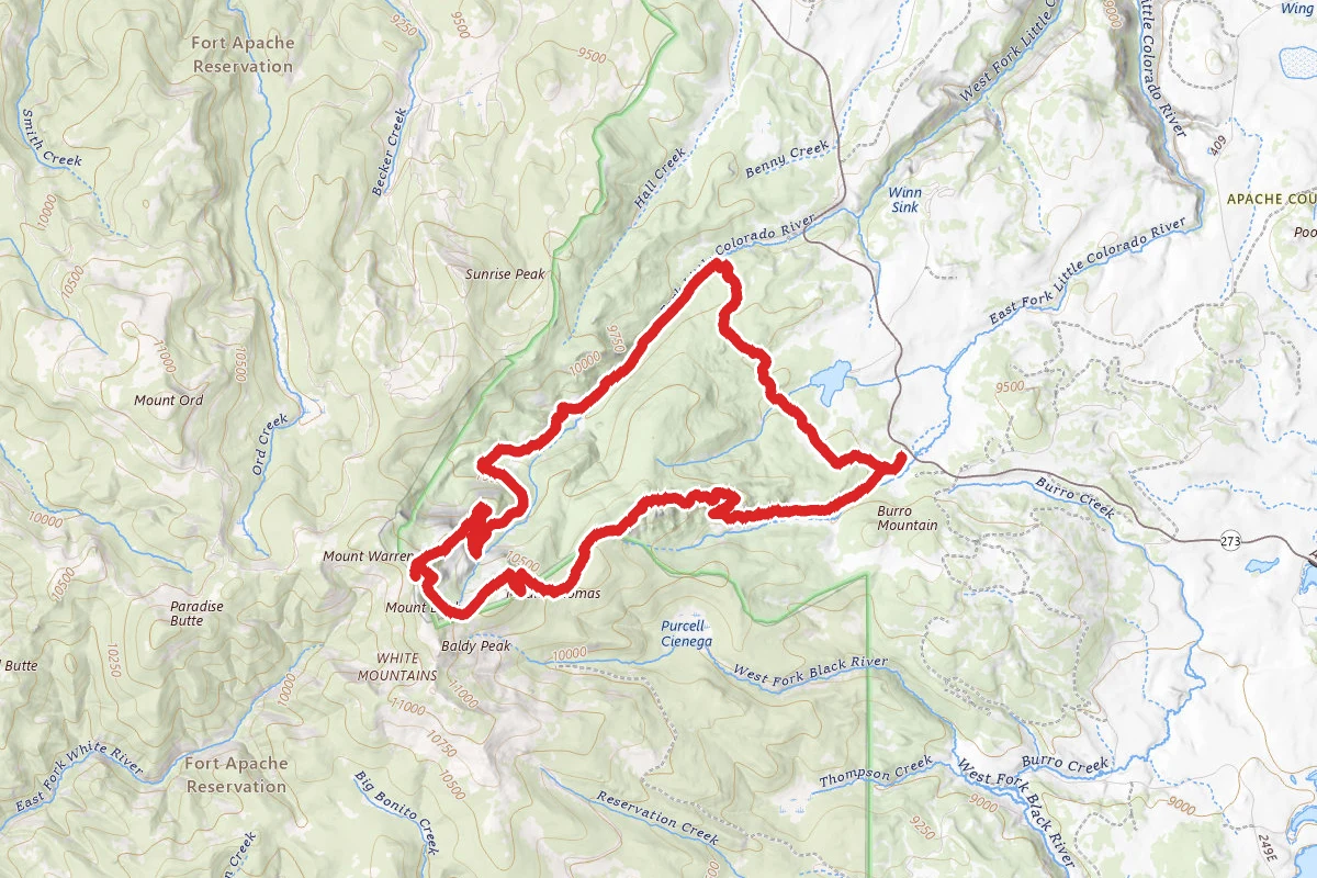 Mount Baldy Loop