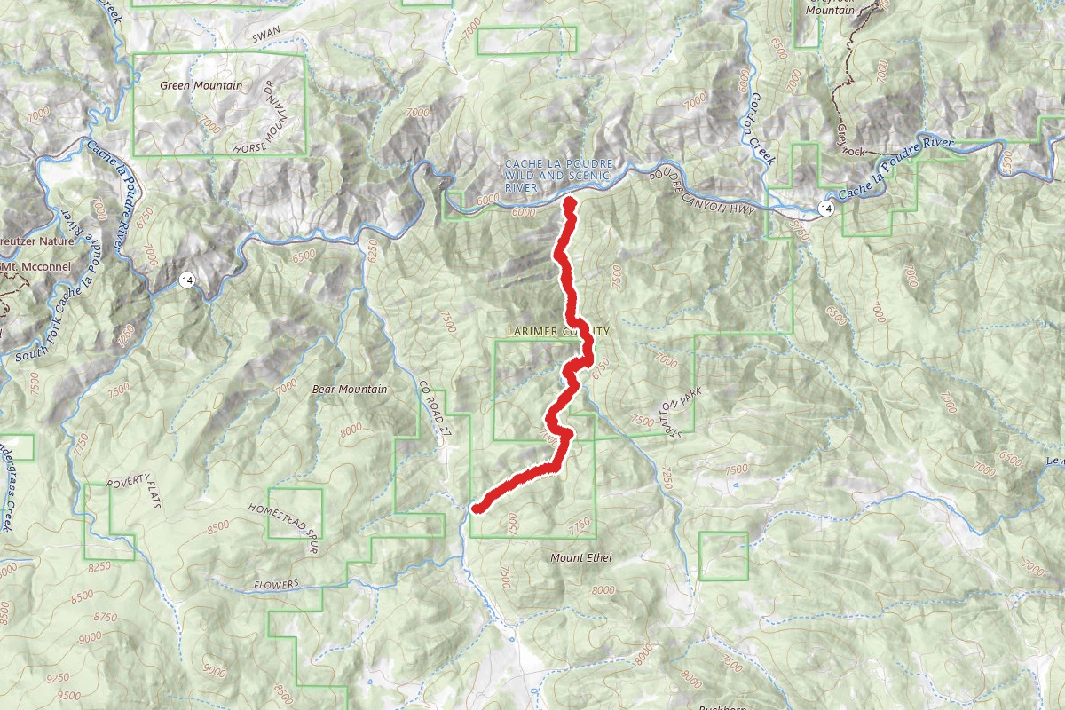 Youngs Gulch