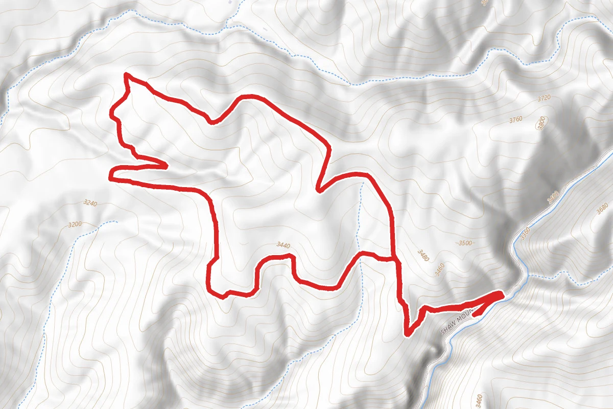 Shane's Loop