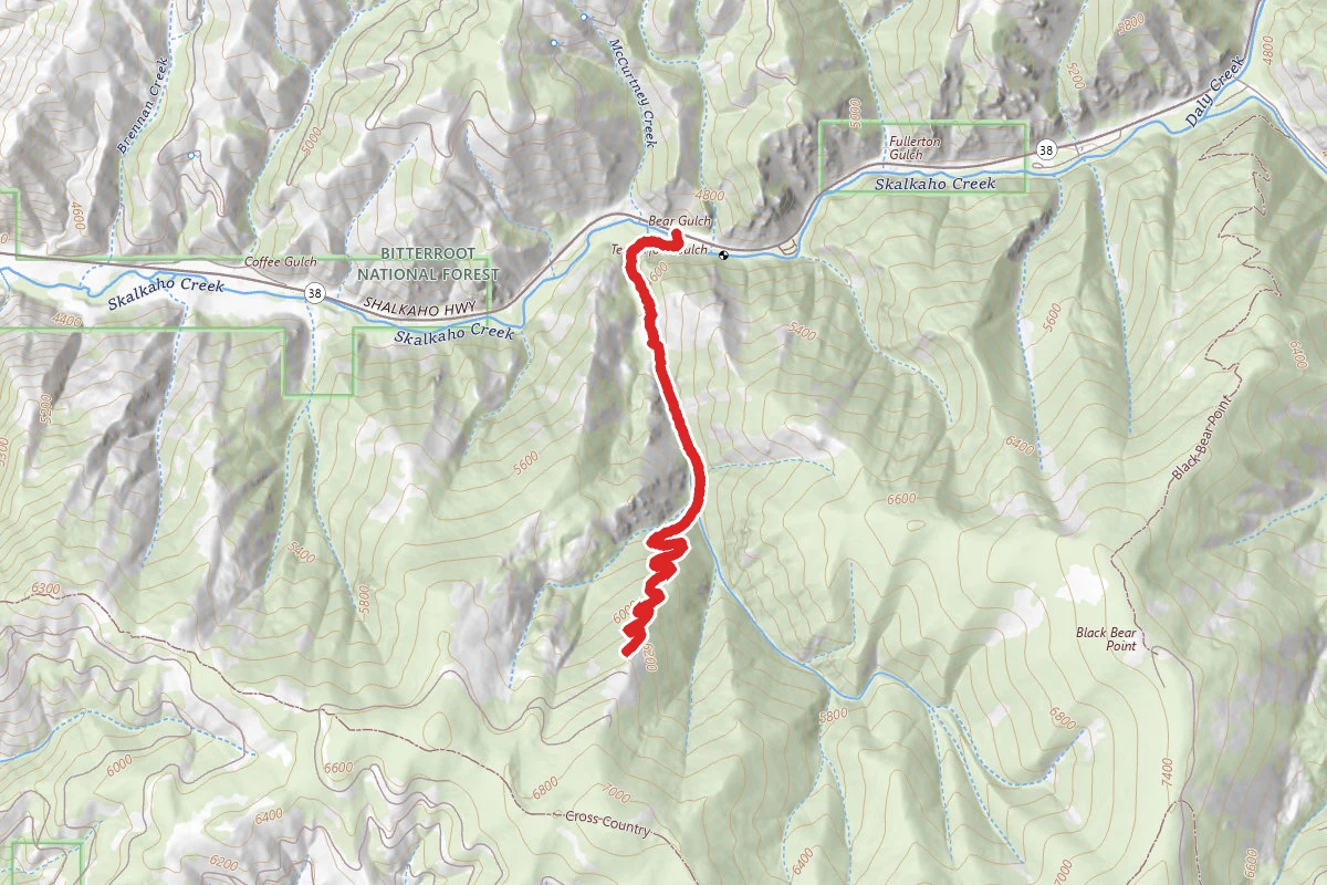 Bear Gulch