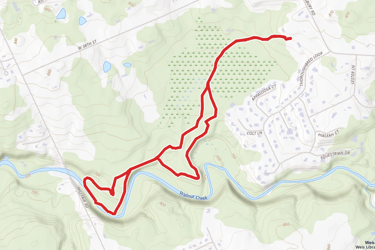 Asbury Woods Loop