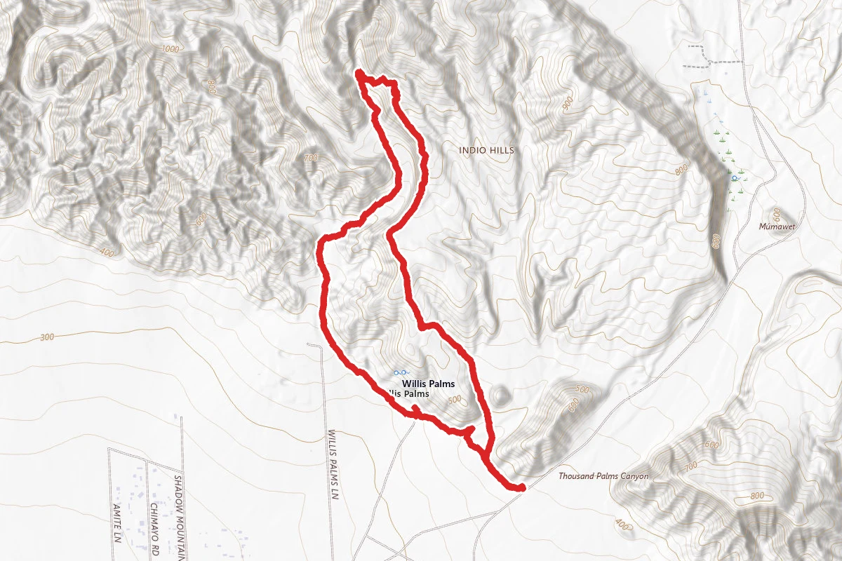 Willis Palm Loop