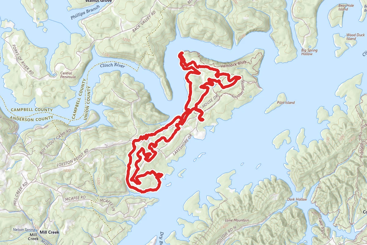 Loyston Point Trails