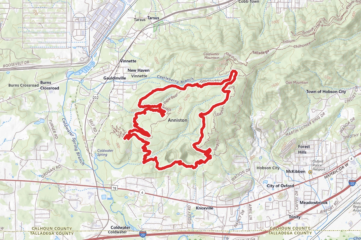 Coldwater Mountain Bike Loop- Bomb Dog, Mama, Papa, and Baby Bear Trails