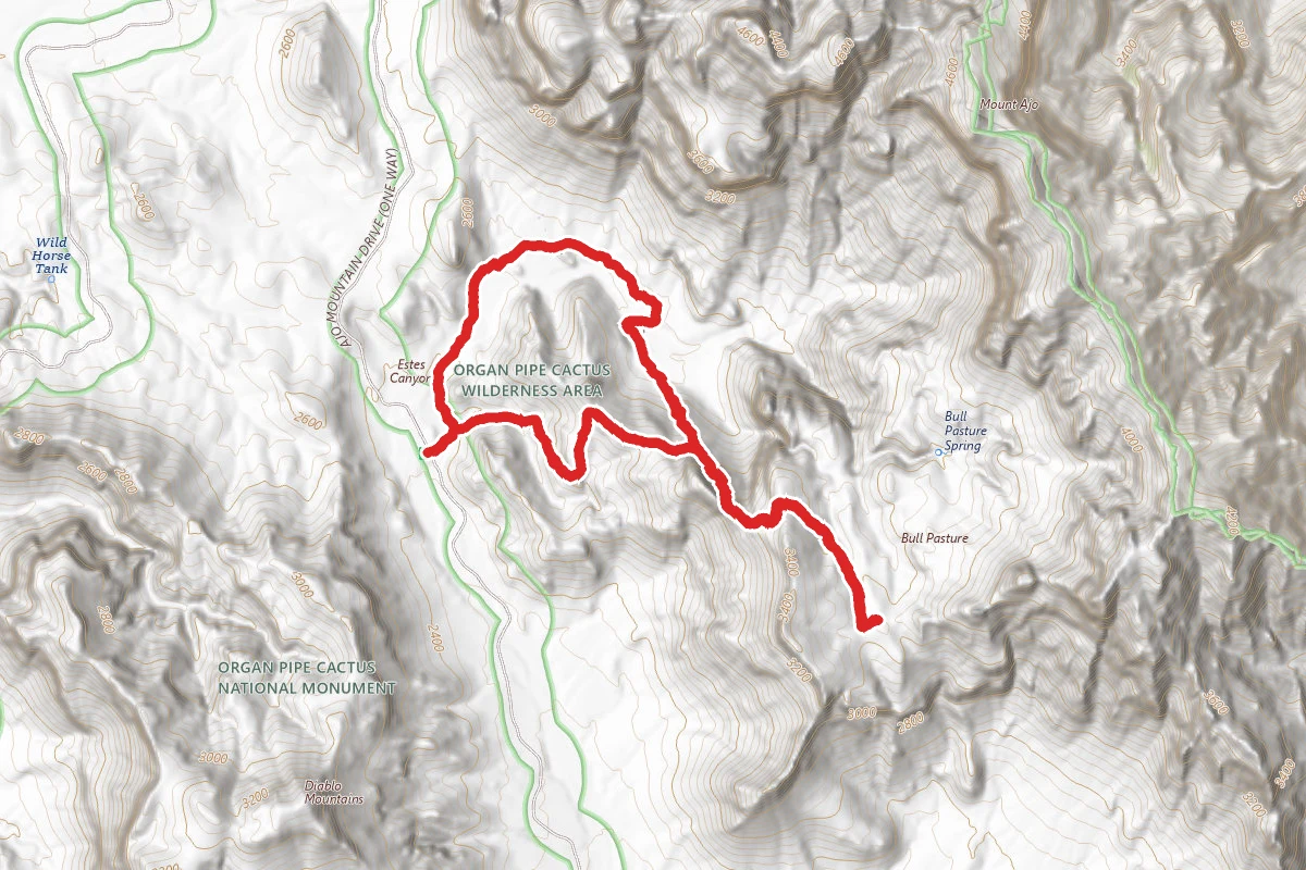 Bull Pasture Trail