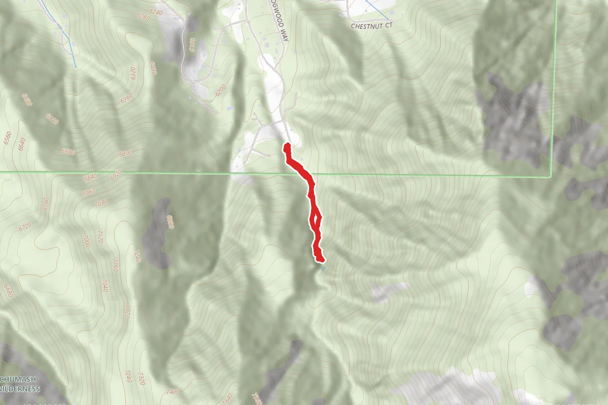 Woodland Falls Trail