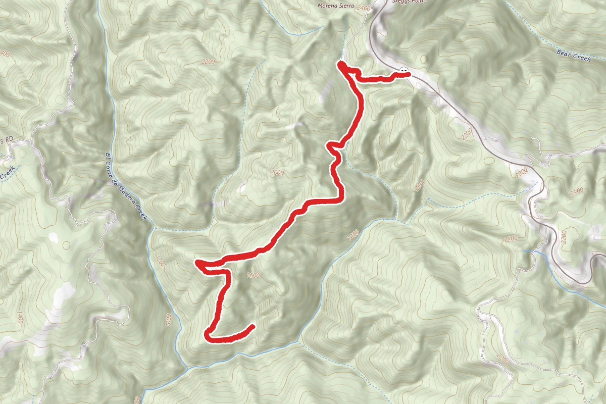 Timberview Trail