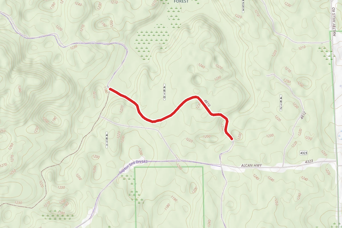 Mack - South Branch Loop Trail