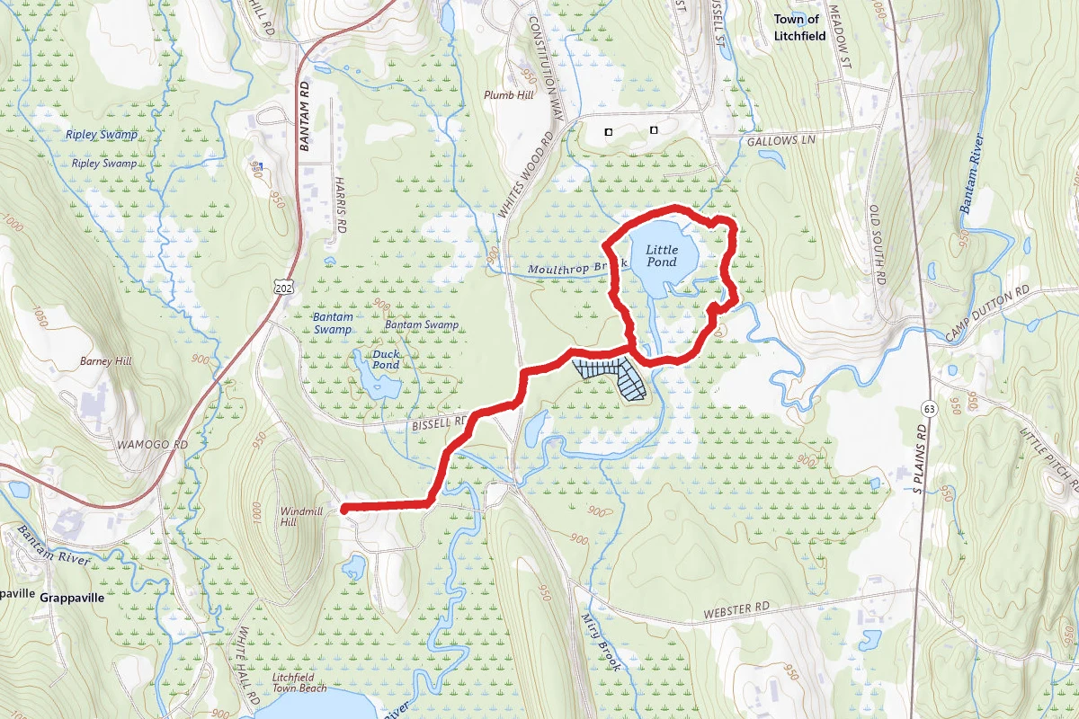 Mallard Marsh and Little Pond Trail