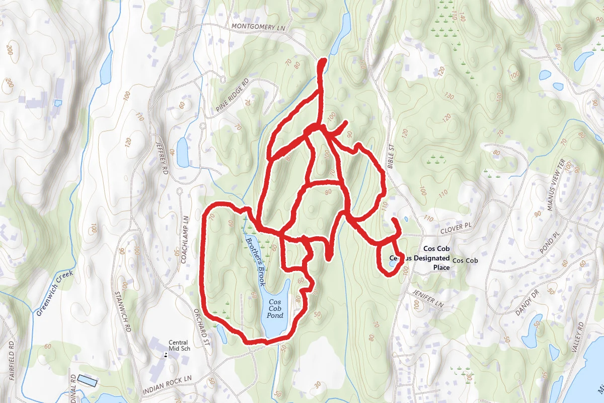 Montgomery Pinetum Loops