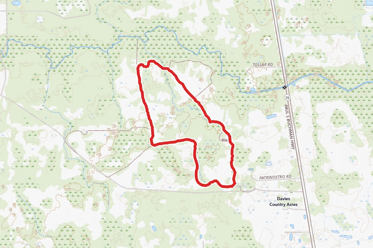 Blackwater Creek Nature Preserve Loop