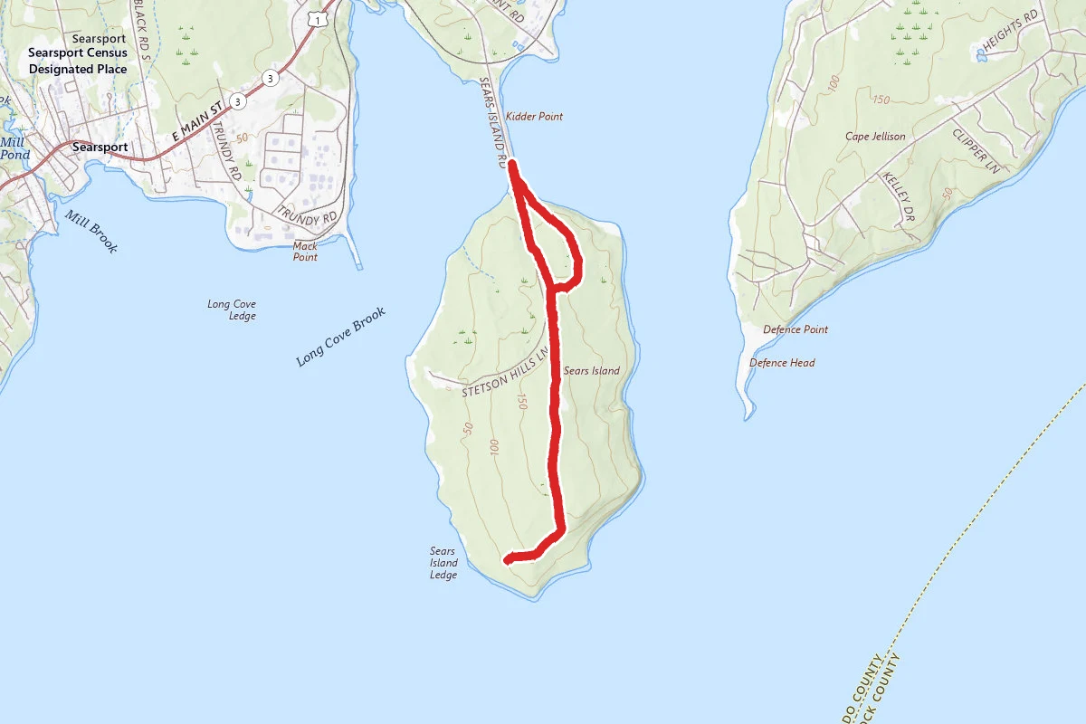 Sears Island Tower Trail