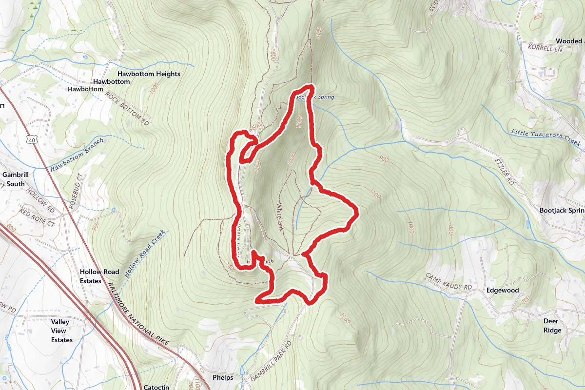Catoctin Trail to Black Trail Loop