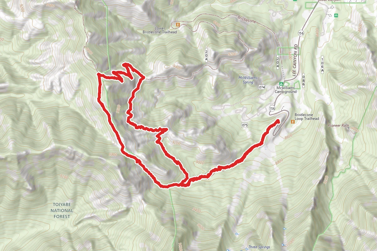 Bristlecone, Bonanza, No Name Loop