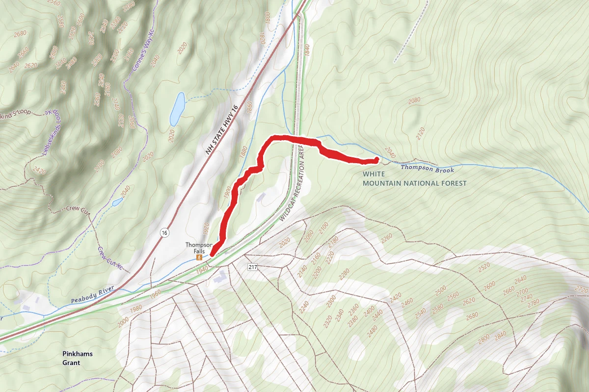Thompson Falls Trail