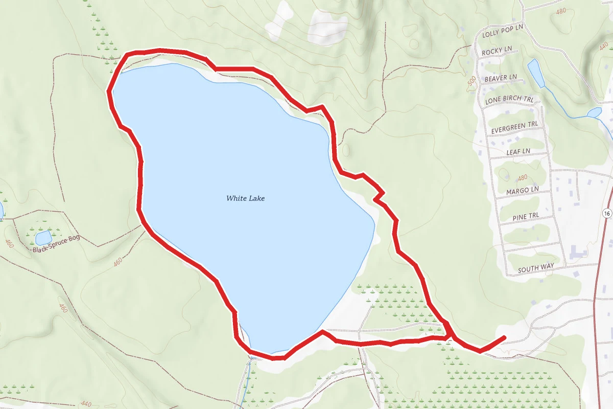 White Lake State Park Loop Trail