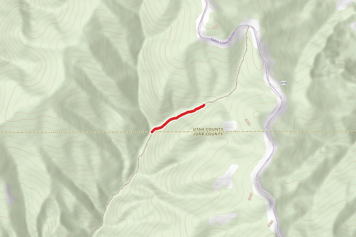 Bear Canyon