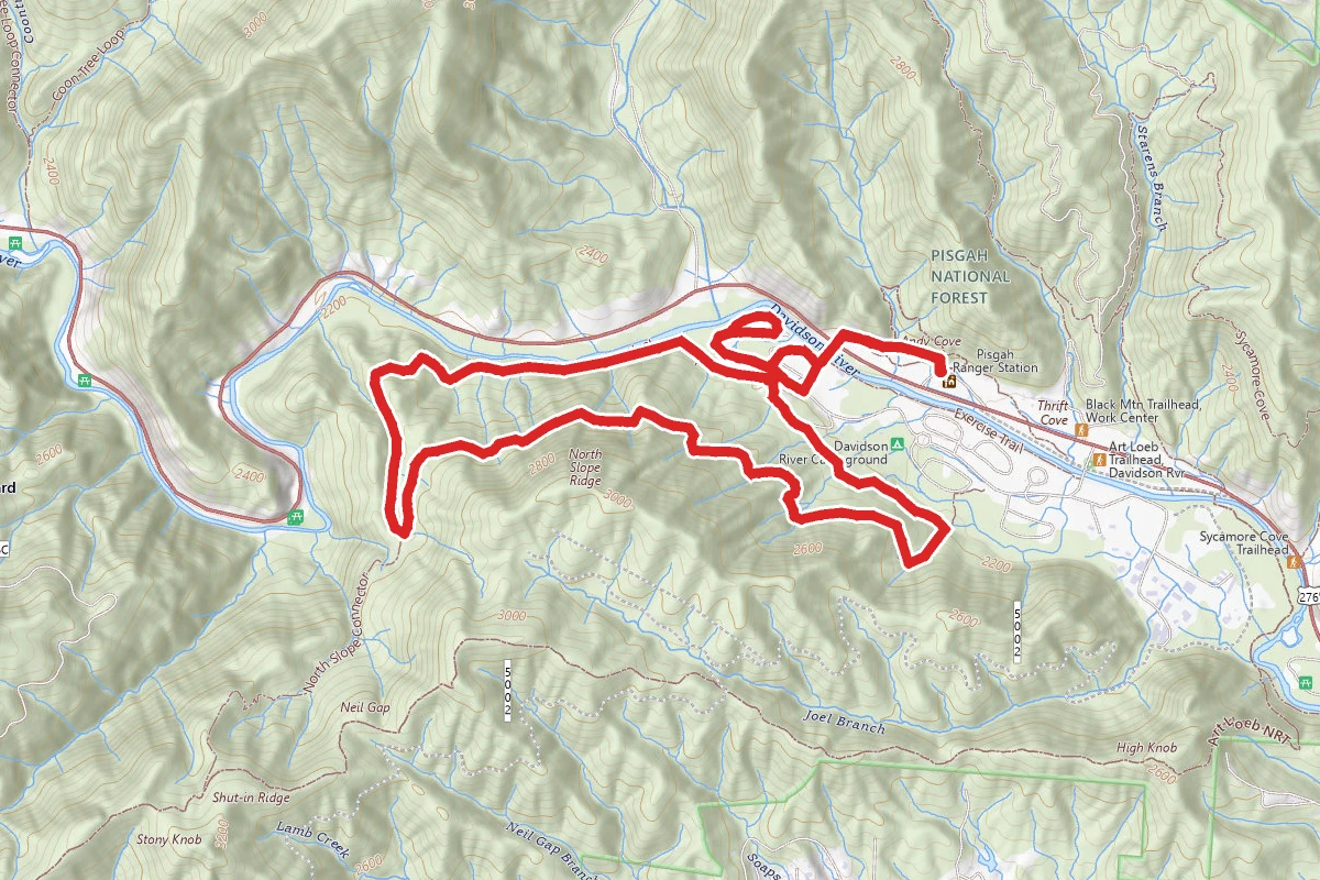 Davidson River Recreation Area Trail