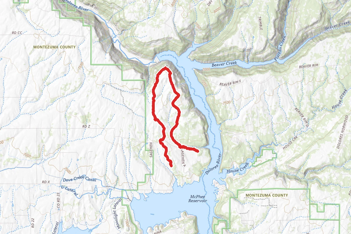 Sage Hen Loop