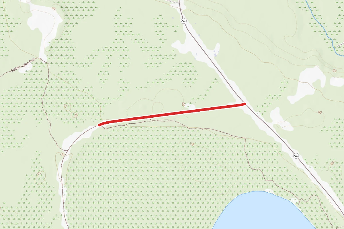 Jones Lake Trail