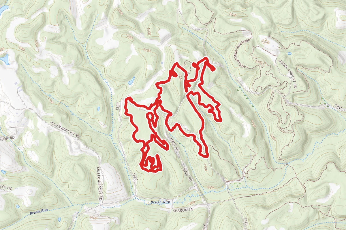 Bavington Trail