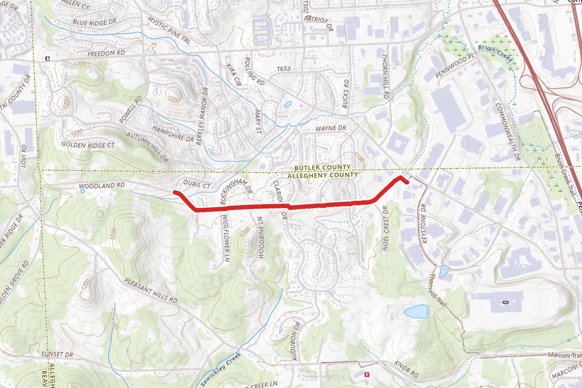Woodland Loop
