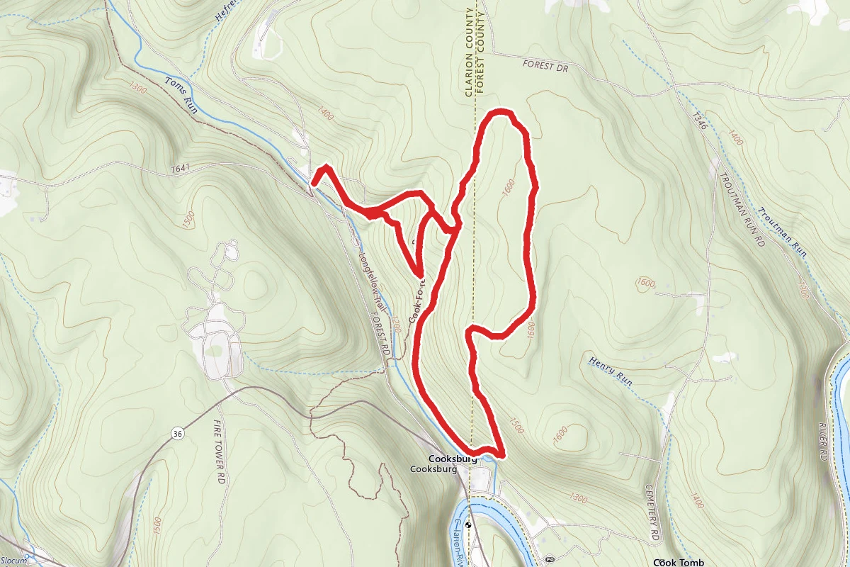 Longfellow, Joyce Kilmer, and Rhododendron Trails