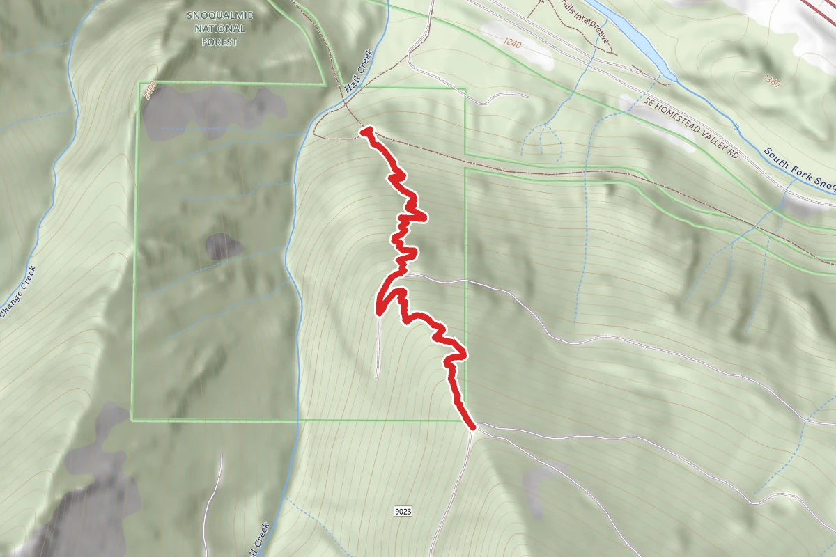 Zig Zag Trail