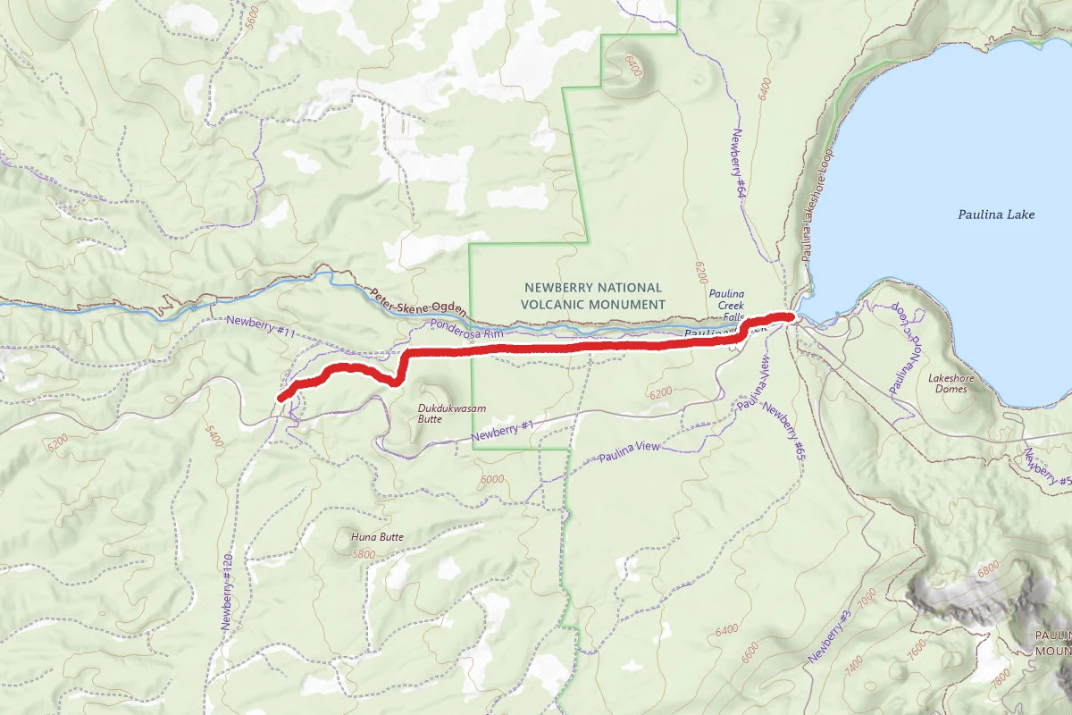 Paulina Creek Falls Trail