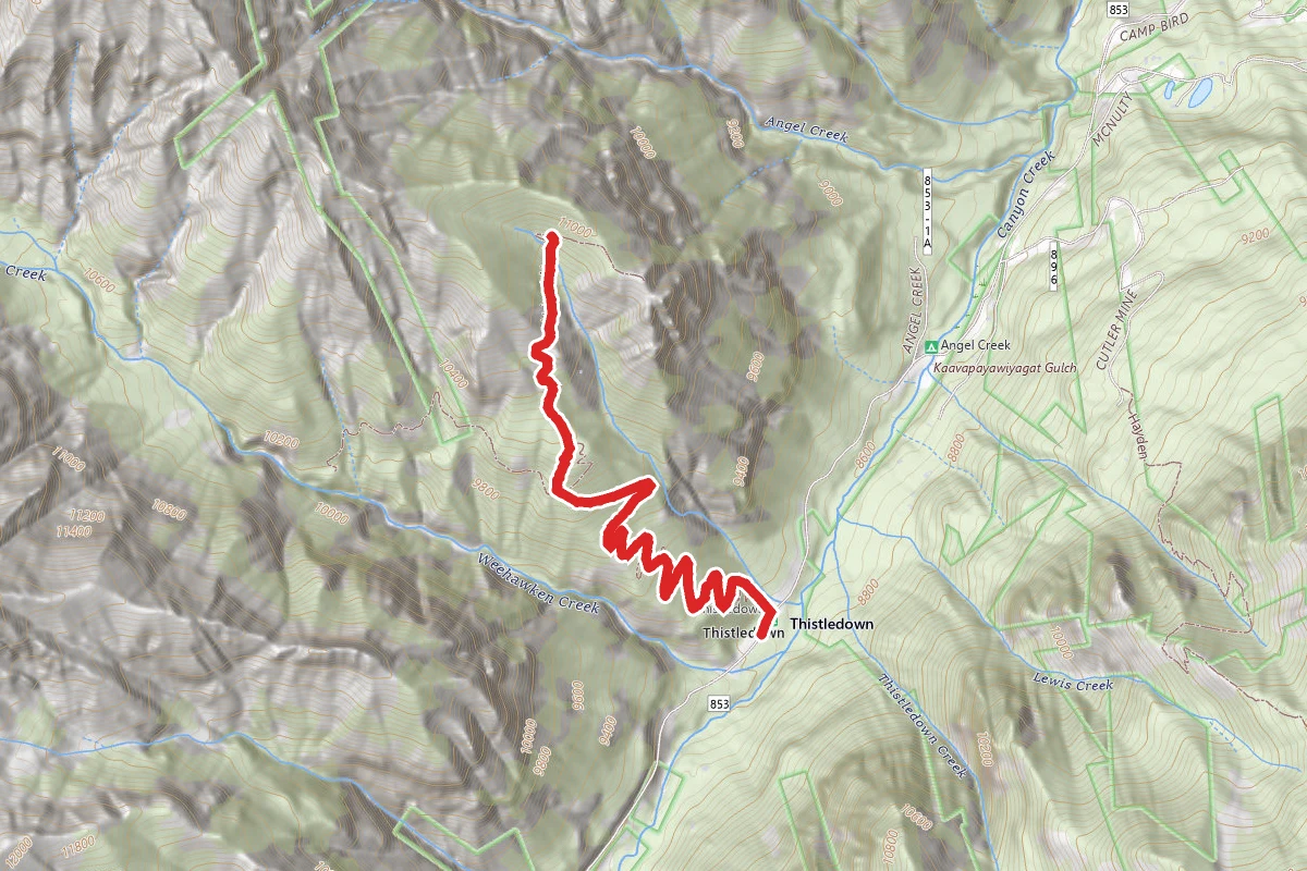 Weehawken Pack Trail