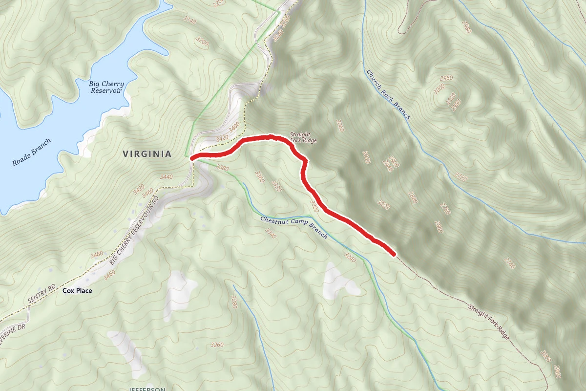 Straight Fork Ridge