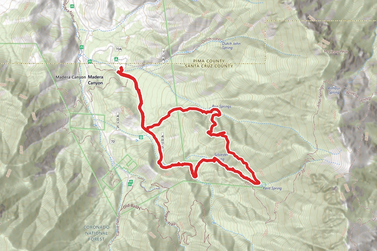 Bog Spring to Sylvester Spring Loop