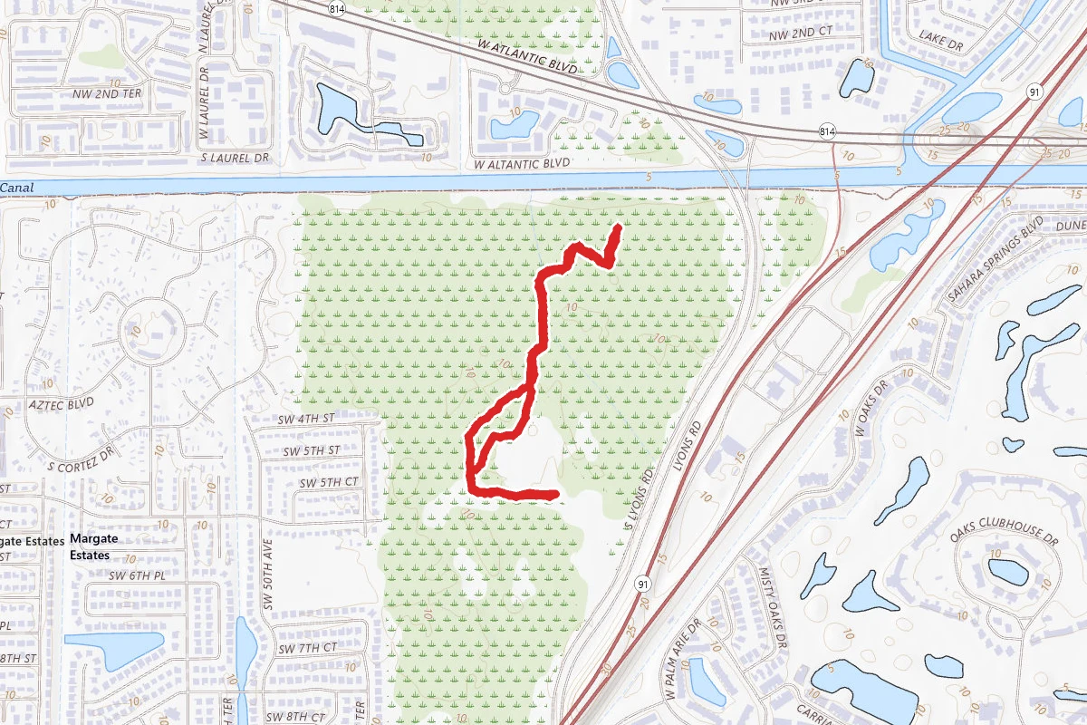 Fern Forest Loop