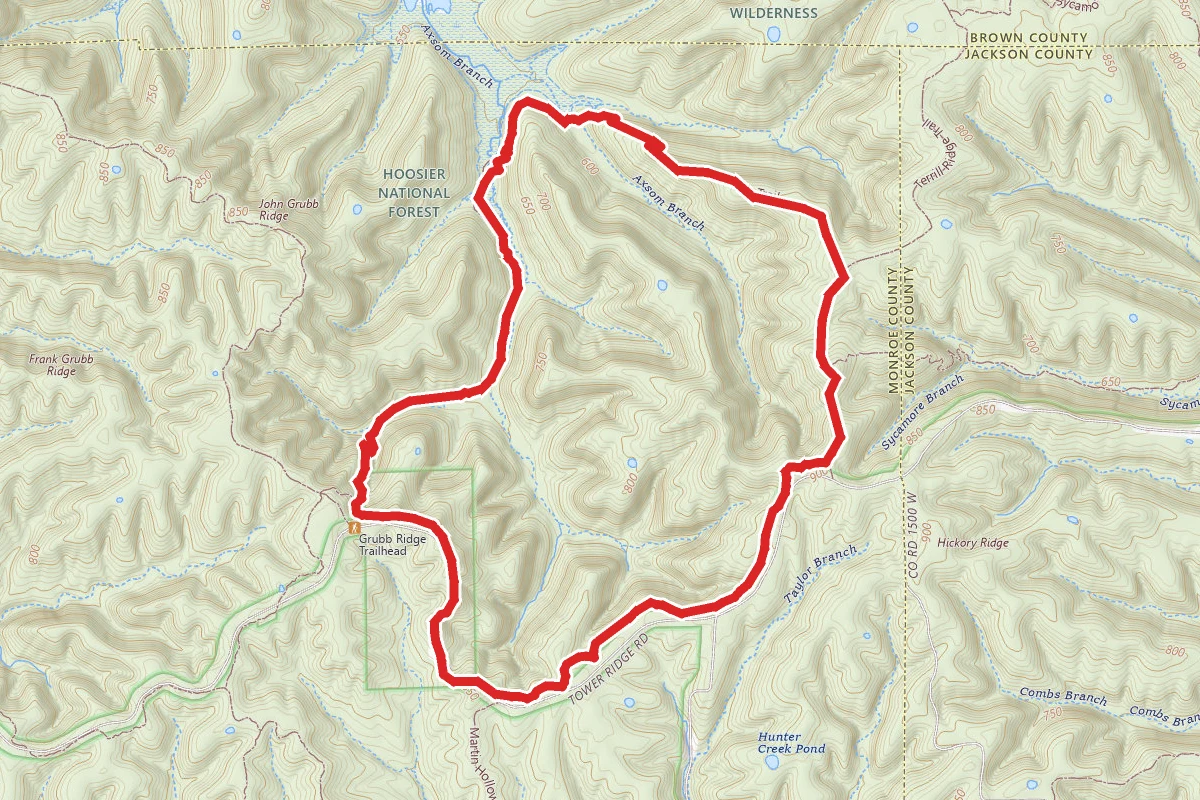 Axsom Branch Loop