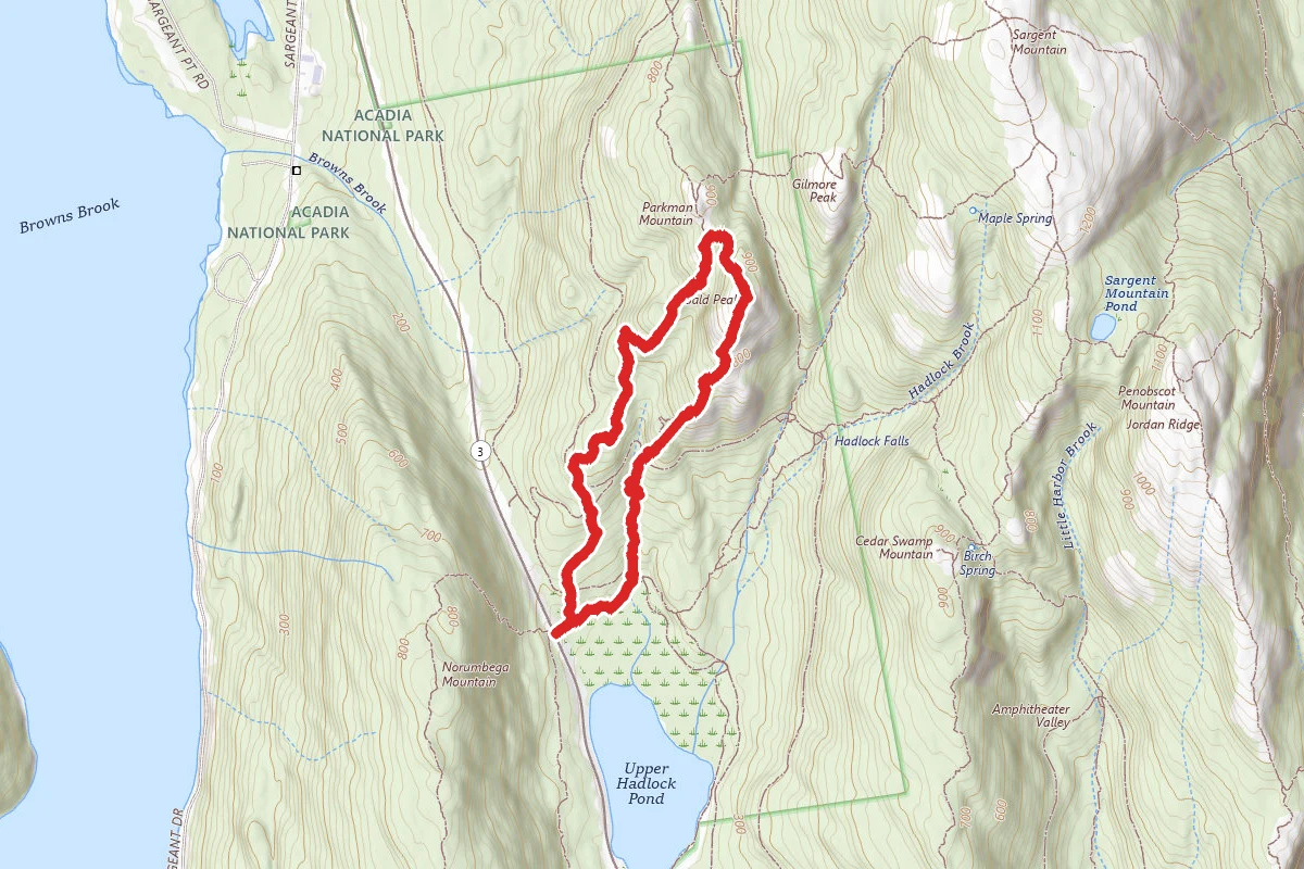 Bald Peak Trail