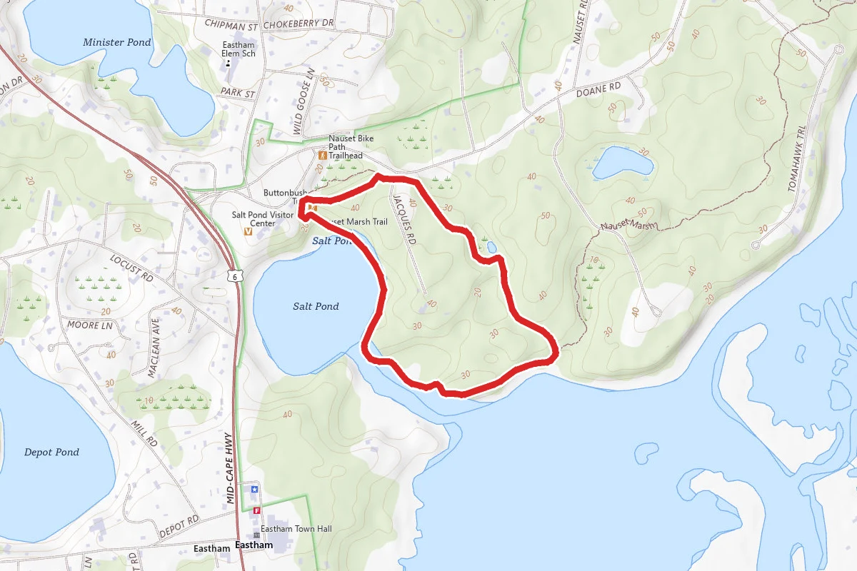 Nauset Marsh and Buttonbush Trail