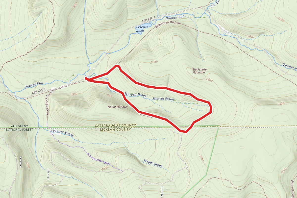 Blacksnake Mountain Trail