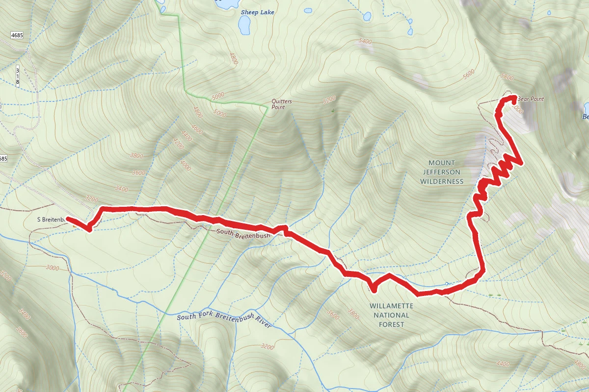 Bear Point Trail