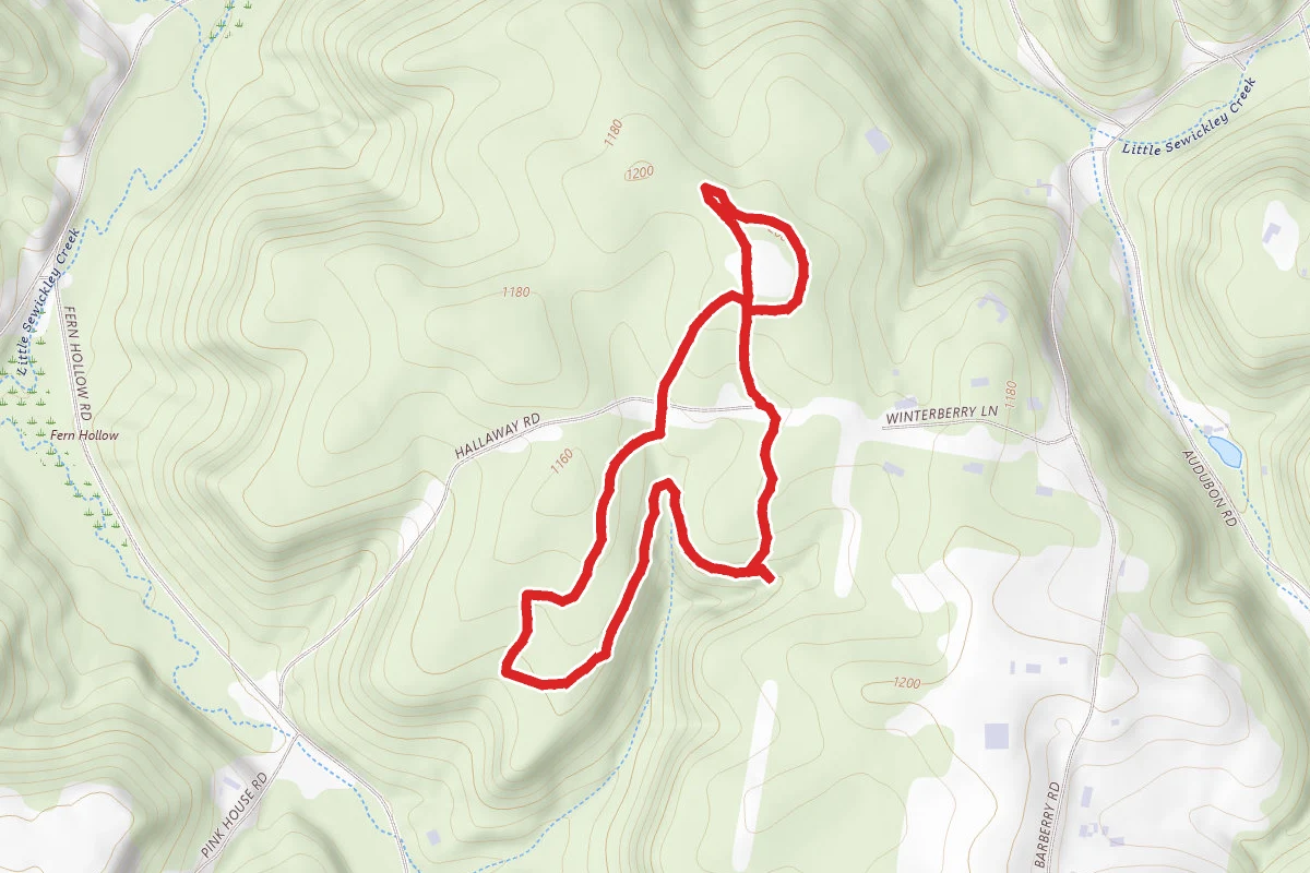 Black Cherry to Butterfly Loop Trail