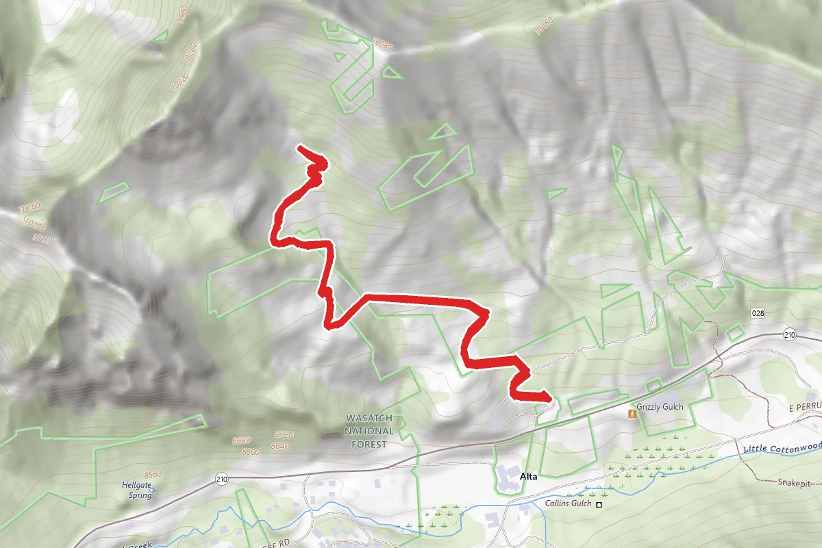 Grizzly Gulch Trail