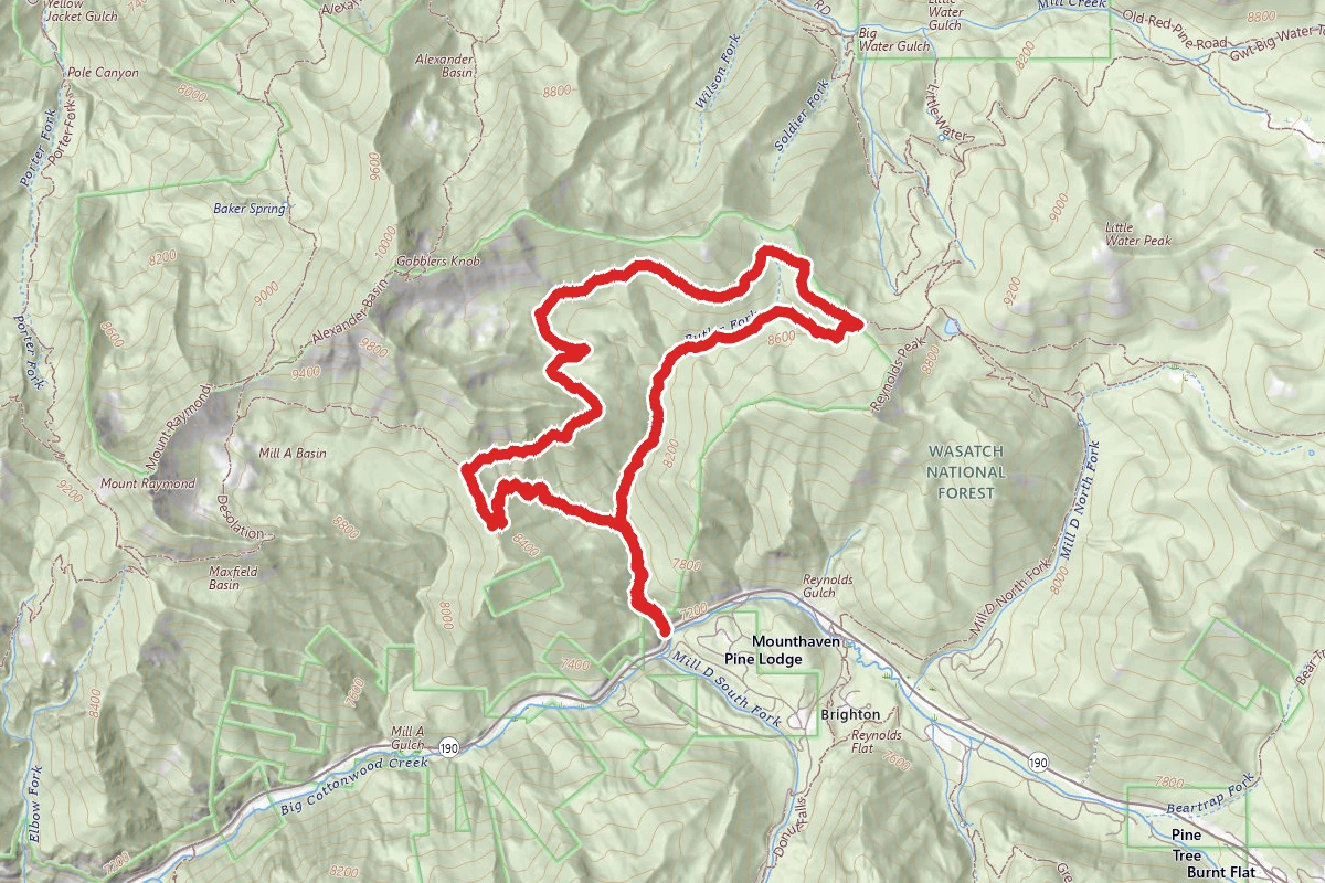 Butler Fork Loop