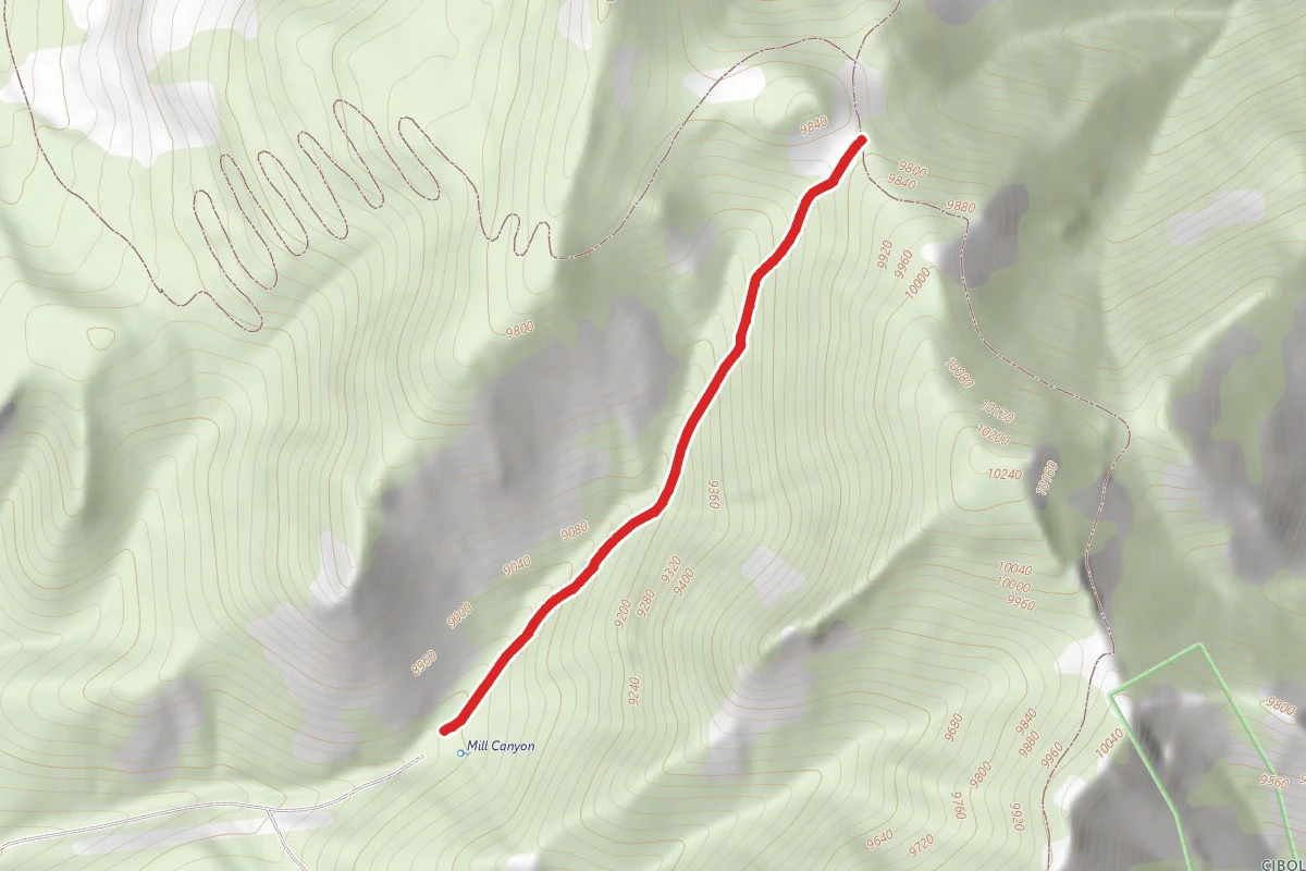 Mill Canyon
