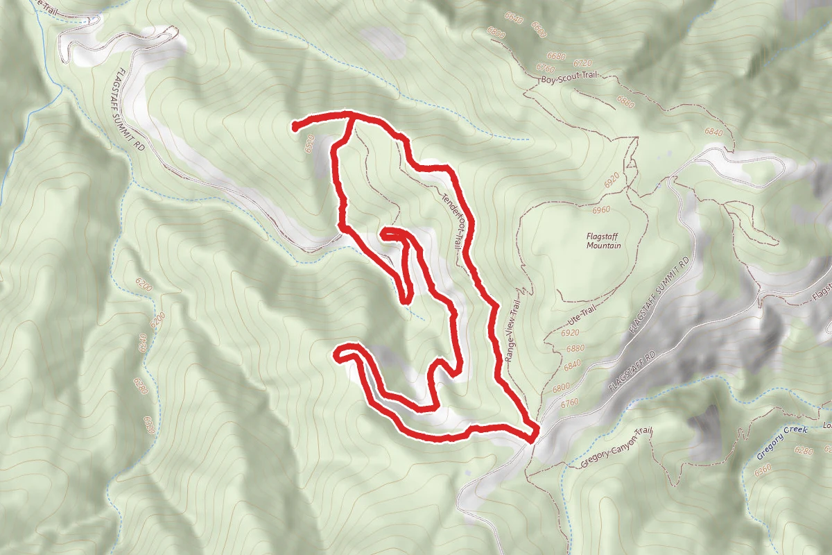 Chapman Road and Tenderfoot Trail